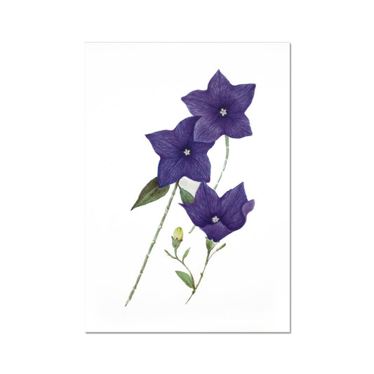 Bell Flower Fine Art Print